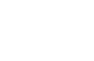 AN2 Partners
